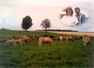 pasture